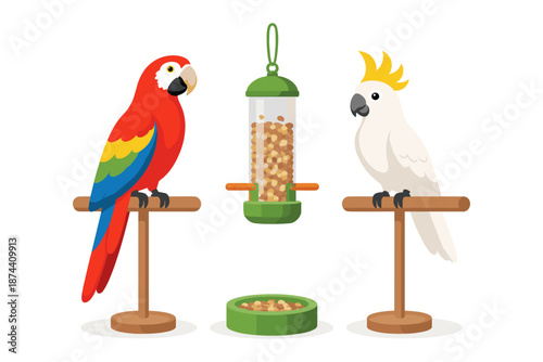 Colorful parrot and cockatoo with bird feeder on wooden perches in flat style