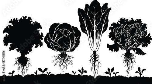 Vegetable garden silhouettes featuring leafy greens growing in soil with roots and sprouts