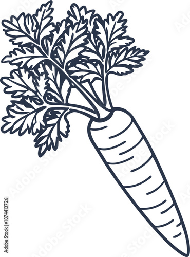 Fresh carrot with leafy greens natural vegetable design, healthy food ingredient for cooking and nutrition