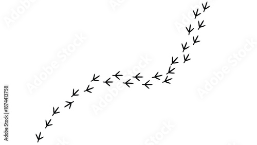 Footprints trail on a white background