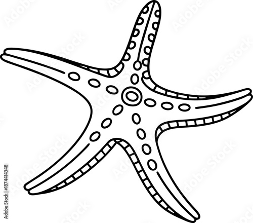 Starfish outline drawing with decorative patterns, marine animal sea creature illustration