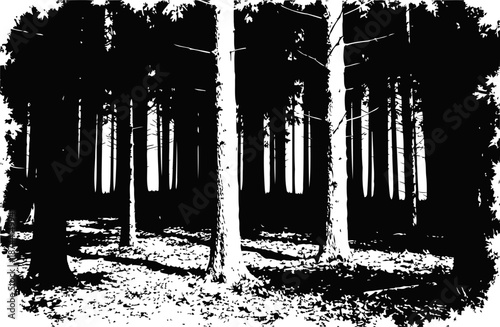 Black and white silhouette of dense forest with tall trees and textured ground