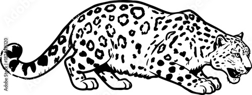 black and white illustration of a crouching snow leopard with detailed spots and intense expression