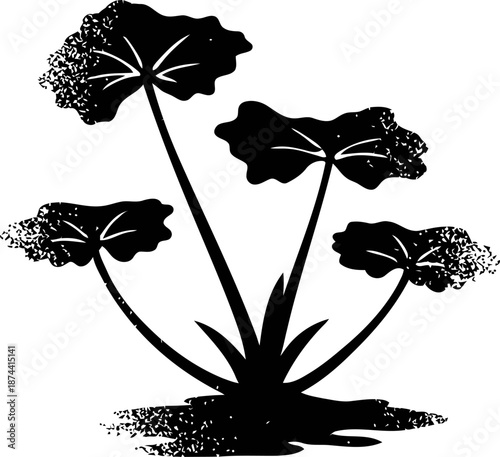 Silhouette of flowering plant with large leaves and multiple stems in black and white