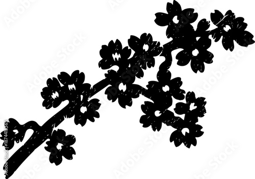 Silhouette of flowering branch with multiple blossoms and small petals on white background
