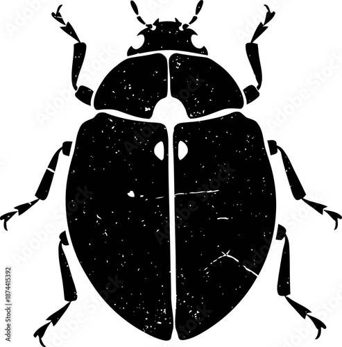 Black beetle silhouette with textured grunge effect isolated on white background