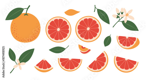 Set of grapefruit elements featuring a whole fruit, half slices, wedges, green leaves, and white citrus blossoms on a plain white background.