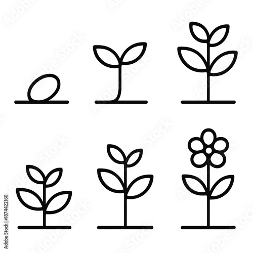 Plant Growth Icons. Evolution growth stages set in outline vector style: seed, sprout, leaf pair, small plant, mature plant, blossoming stem