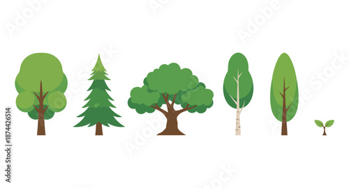 Set of Flat Vector Tree Icons and Sapling Representing Different Species and Growth Stages