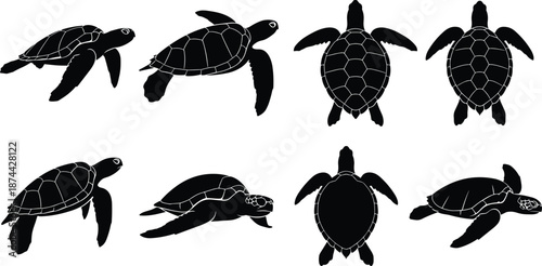 Sea turtle silhouette, marine animal, black and white illustration, swimming poses, ocean wildlife, aquatic nature, biology reference, coastal design, turtle motion
