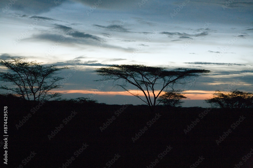Fototapeta premium Ethiopia landscape on a cloudy winter day.