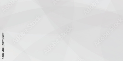 Abstract background with white  and gray  abstract geometric background with soft light white paper circles in design . Digital technology wallpaper used in the corporate in design.