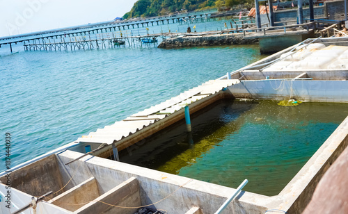 Cement ponds for saltwater fish located near the sea; small cement ponds for raising saltwater fish.
