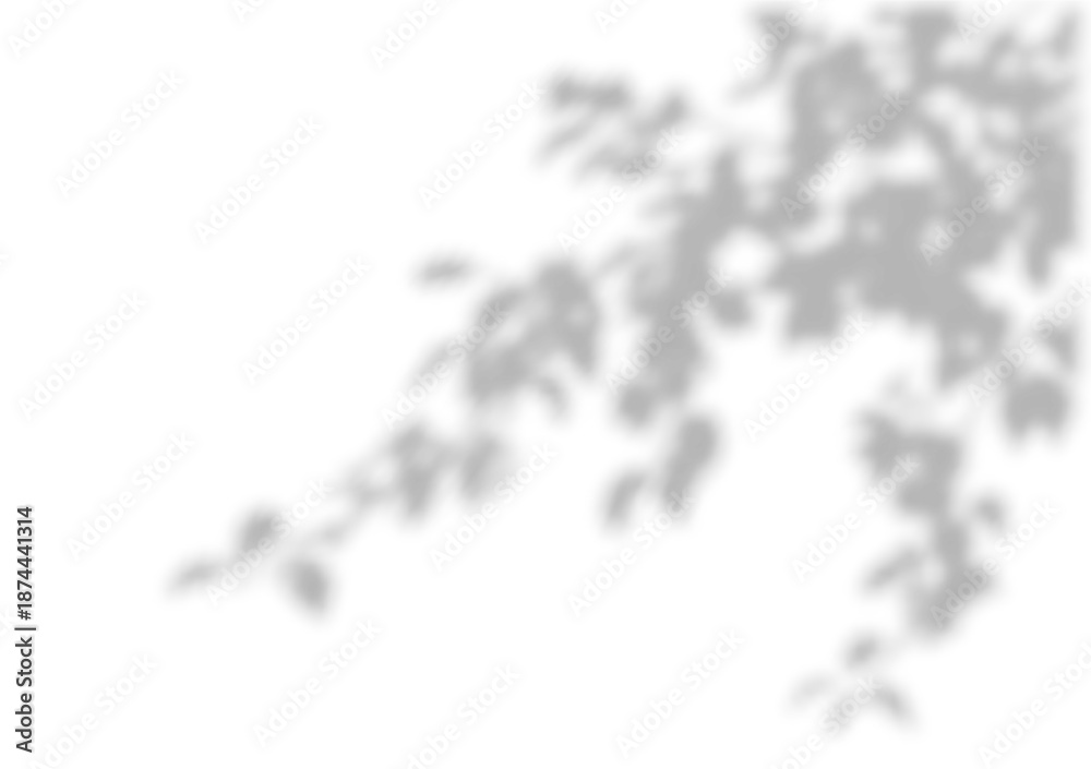Naklejka premium Tree shadow overlay on white background, vector illustration. Leaves branch shadows on the wall