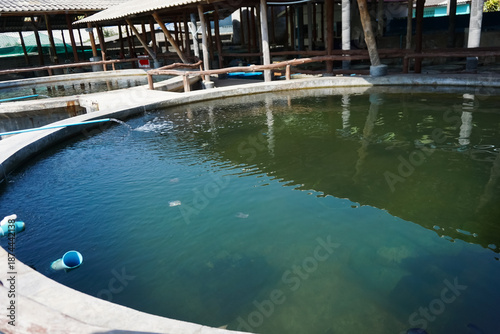 Circular cement ponds, closed-system marine fish farming ponds, marine aquaculture ponds.