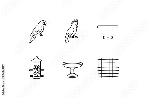 Bird cage accessories and parrot perches with feeder in linear style
