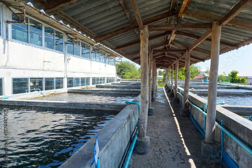 pond, water, fish farm, sea animal farm, aquatic animal, grow out pond, fish pond, ornamental, marine fish, ocean, boat, landscape