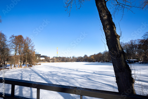 Wallpaper Mural View from bridge over frozen Schlossteich lake in public park in winter, Chemnitz Germany, snow covered ice, long tree shadows, clear blue sky and calm urban park Torontodigital.ca