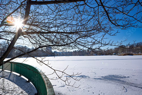 Wallpaper Mural Winter sun shining through bare tree branches over frozen Schlossteich pond in public park in Chemnitz, Germany, snow covered ice, blue sky and urban park Torontodigital.ca
