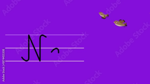 N letter writing like nightingale color cartoon animation. A compatibile part of the alphabet serie. Handwriting educational style for children. For education movies, presentation, learning alphabet.