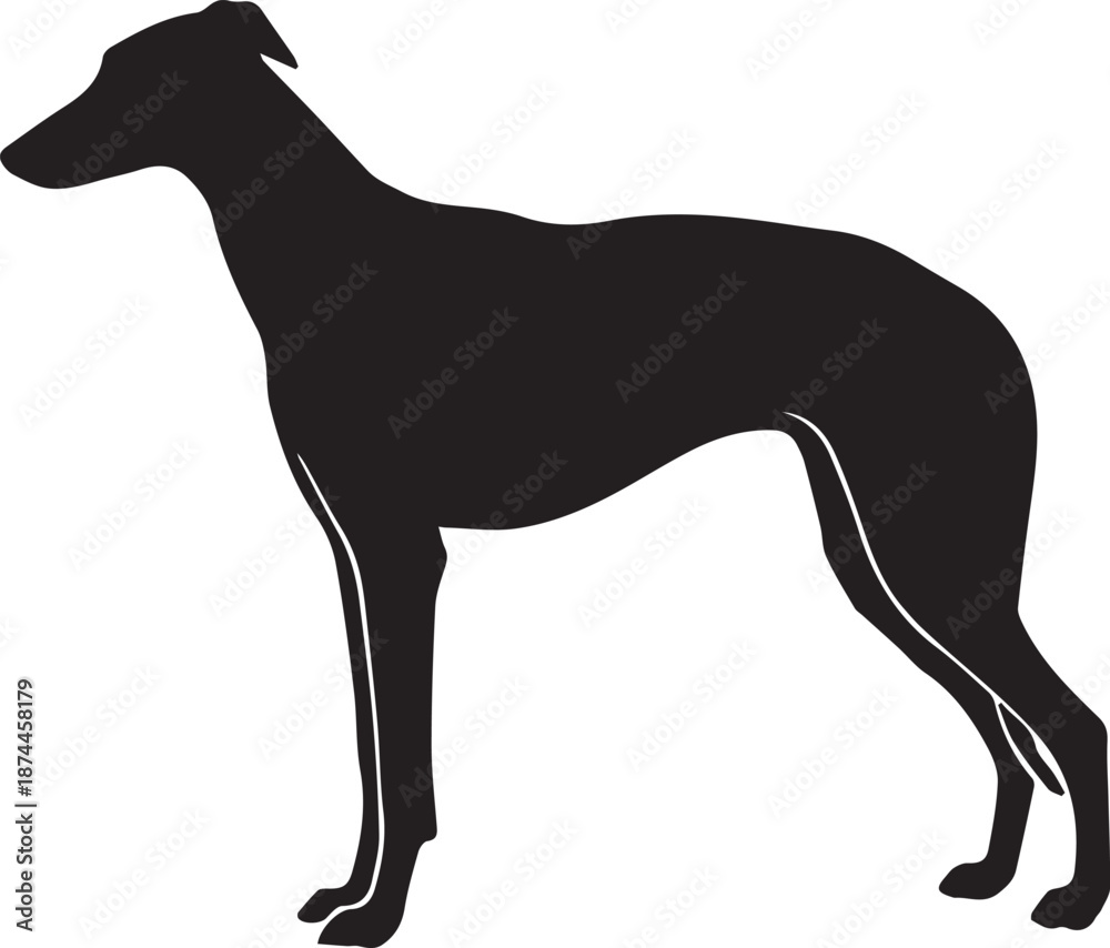 Fototapeta premium Isolated black silhouette of a standing pet dog vector illustration and animal mammal clip art on white background