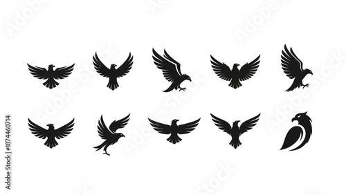 Set of 10 Black Eagle Bird Logos Vector