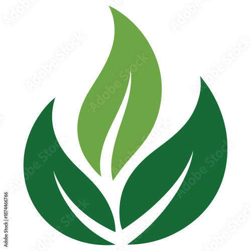 Stylized green leaf logo design symbolizing growth and nature in a clean graphic illustration