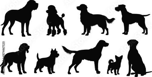 Large Collection of Dog Breed Silhouettes Featuring Poodles Retrievers Terriers and Great Danes in Various Poses for Pet Care Branding Animal Design and Vector Illustration