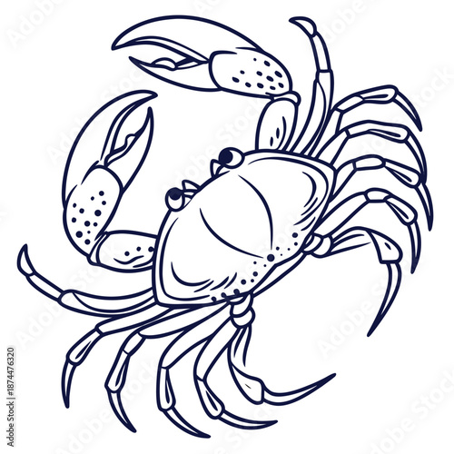 Minimal crab line icon designed specifically for infographics and data visualization. Clean thin outlines and simplified anatomy ensure clear readability in charts, presentations, educational material