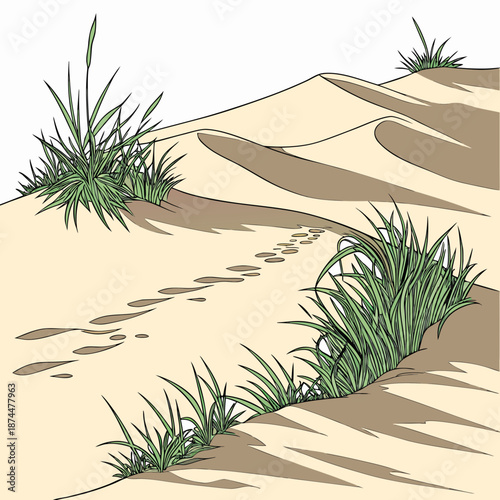 Desert sand dunes with green grass and footprints sandy landscape