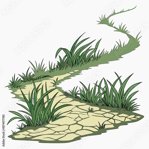 Grass covered land gradually losing color into desert