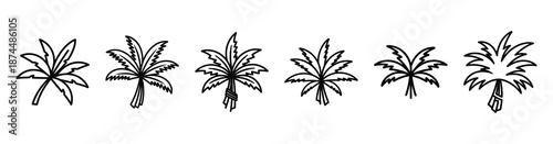 palm frond bundle Line art illustration isolated on white background of palm sunday icons