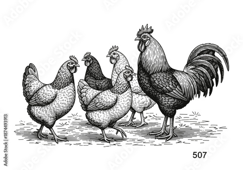 Adorable cartoon rooster crowing vector illustration, farm animal, symbol of morning and wake-up.