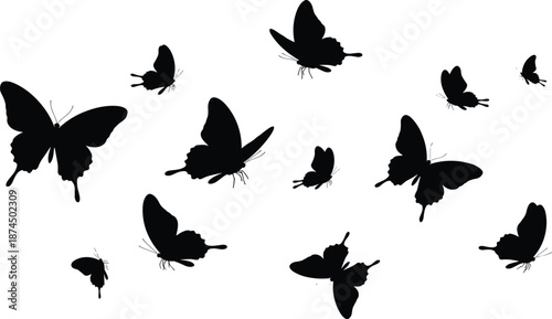 Flying butterfly silhouettes vector design, black insect shapes, nature elements, isolated butterflies illustration, abstract art, minimalist wildlife, beauty, motion