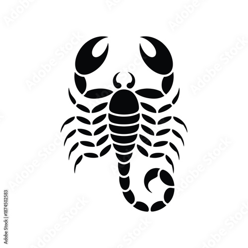 A striking black and white illustration depicting a detailed scorpion with a curved tail