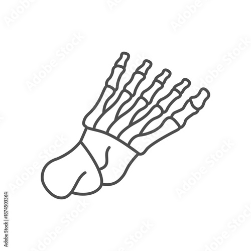 Bones of foot line icon