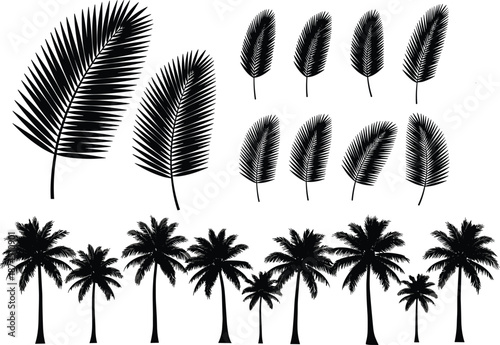 Palm tree and leaf silhouette vector set, tropical palm leaves and coconut trees collection, black botanical summer nature elements for beach travel design