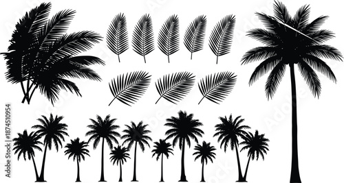 Palm tree silhouette vector set, tropical palm leaves and coconut trees collection, black botanical summer nature elements for beach, island, and travel design projects