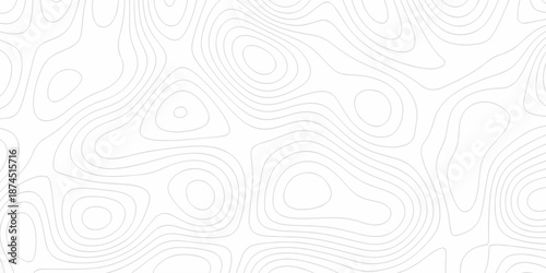 Minimal Lines Topographic contour lines grid map seamless pattern. Minimal Lines Topographic contour lines grid map seamless pattern. Background of the topography map with lines.