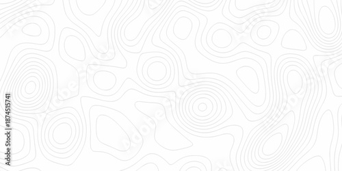 Minimal Lines Topographic contour lines grid map seamless pattern. Minimal Lines Topographic contour lines grid map seamless pattern. Background of the topography map with lines.