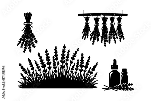 Silhouette lavender elements with herbs and essential oil in black and white design