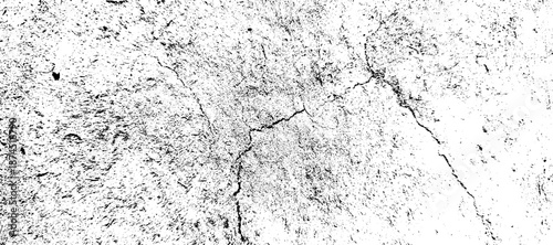 A detailed black and white grunge texture revealing abstract patterns and distressed speckles on a worn surface. vector