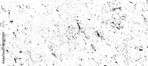 A light and subtle black and white grunge texture features sparsely distributed, fine particles across a clean background. vector
