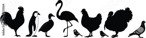 Silhouettes of diverse bird species in row, rooster, penguin, duck, flamingo, sparrow, turkey, pigeon, black and white graphic, transparent background illustration