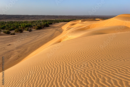 Azoueiga Dune in the Mauritanian desert. A view from the sand dune overlooking the Azoueiga oasis.