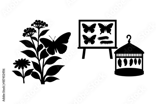 Silhouette of butterfly lifecycle with flowers and chrysalis chart