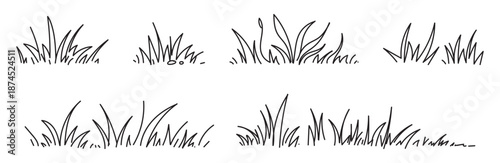 Hand drawn grass vector line natural field silhouette shadow doodle. Blossom silhouette flowers spring illustration in sketchy style isolated on white