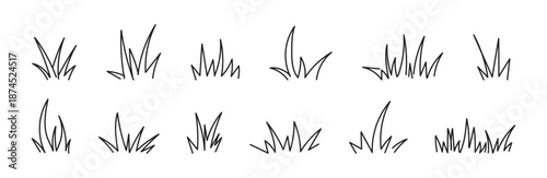 Hand drawn grass vector line natural field silhouette shadow doodle. Blossom silhouette flowers spring illustration in sketchy style isolated on white