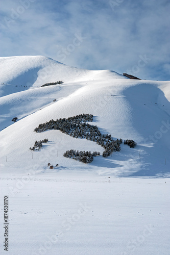 Castelluccio di Norcia Piano Grande, Sibillini Mountains National Park, the forest in the shape of Italy, Perugia district, Umbria, Italy, Europe