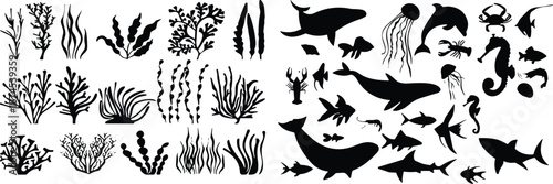 Large Set of Black Sea Life Silhouettes Including Whales Sharks Dolphins Jellyfish Coral and Seaweed Isolated on White Background for Oceanography